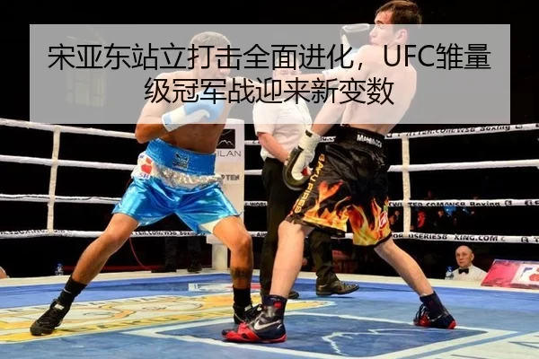 song-ya-dong-zhan-li-da-ji-quan-mian-jin-hua-chu-liang-ji-guan-jun-zhan-ying-lai-xin-bian-shu-2-486.jpg