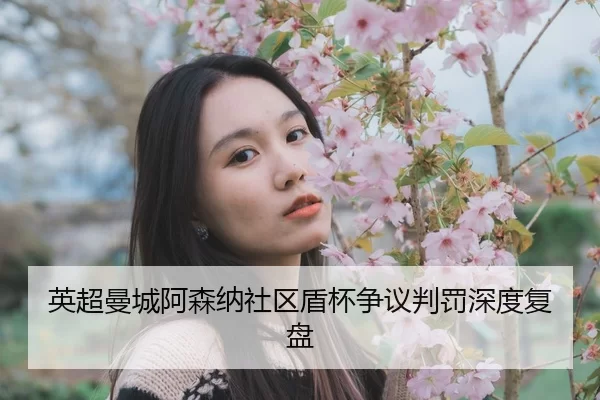 ying-chao-man-cheng-a-sen-na-she-qu-dun-bei-zheng-yi-pan-fa-shen-du-fu-pan-2-980.jpg