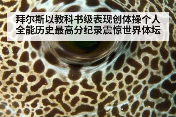 拜尔斯以教科书级表现创体操个人全能历史最高分纪录震惊世界体坛